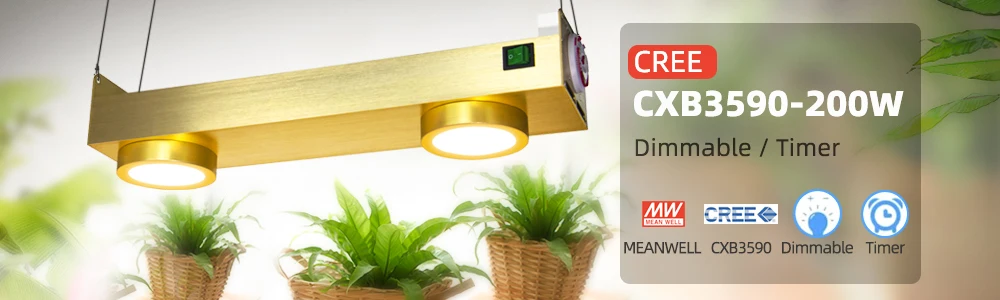 CREE CXB3590 УДАРА светодиодный светать полный спектр 100 W Гражданин 1212 светодиодный растут лампы для домашняя игровая палатка парниковых
