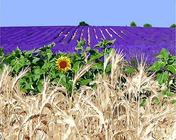 

Unframe diy picture oil painting by numbers paint by number for home decor canvas painting 5065cm lavender field