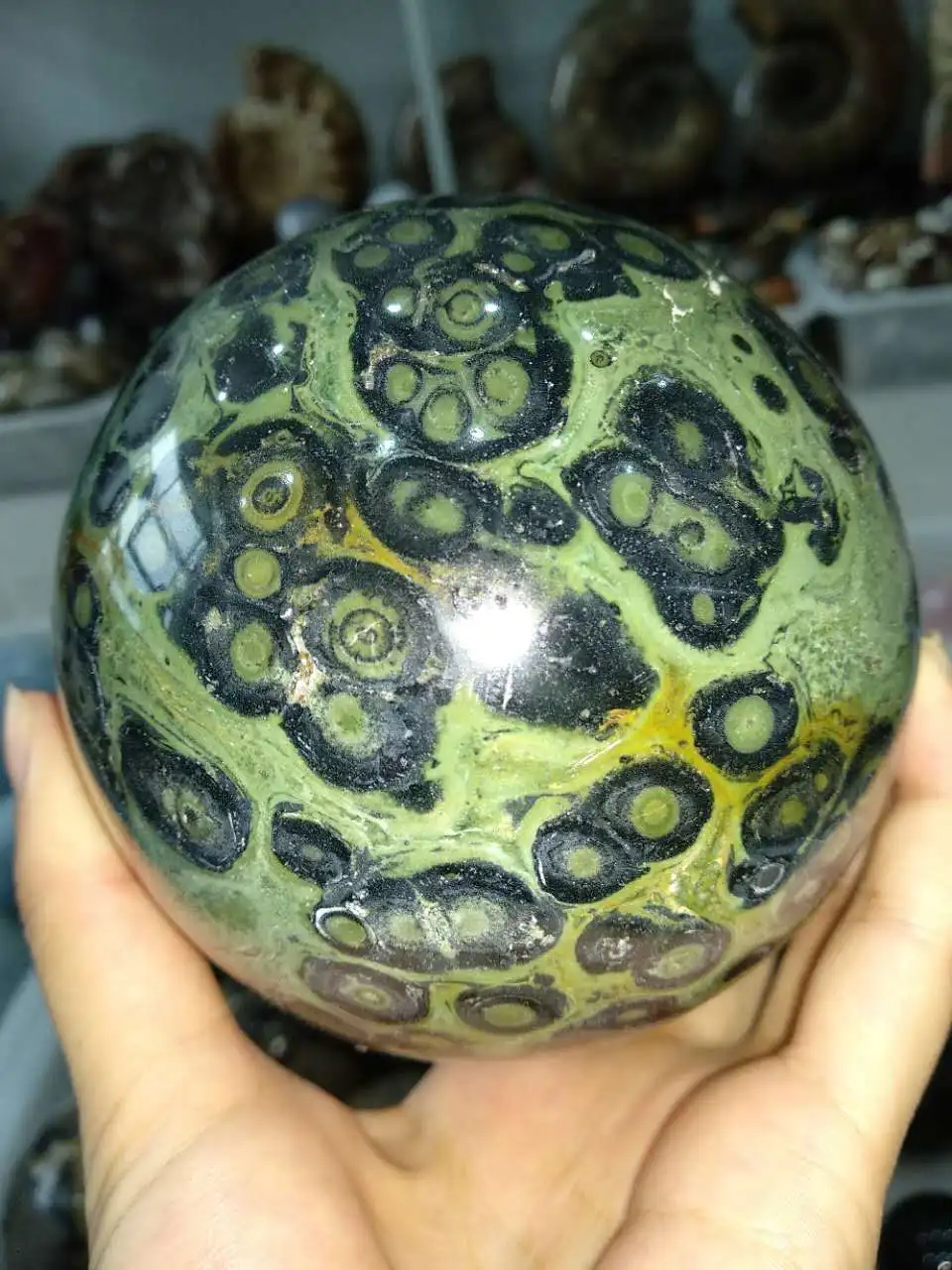 Мадагаскарский Павлин глаз зеленый Kambaba Jasper Fossil Кристальные шарики-сферы заживления