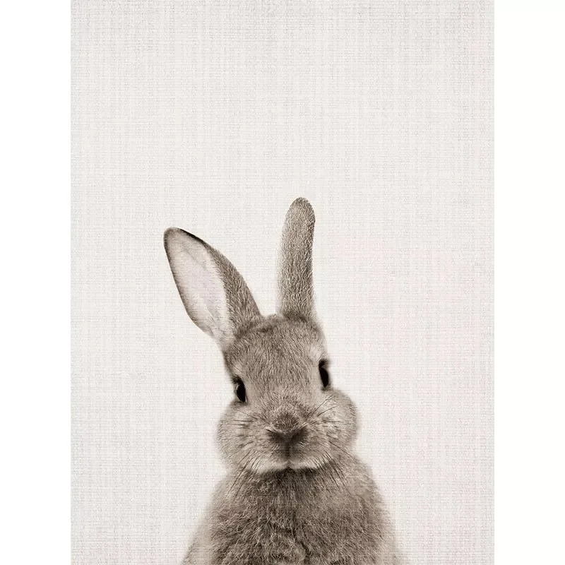 Kawaii Animal Canvas Painting Rabbit Poster Wall Art Kids Living Room Cartoon Posters And Prints Picture Home Decor Unframed