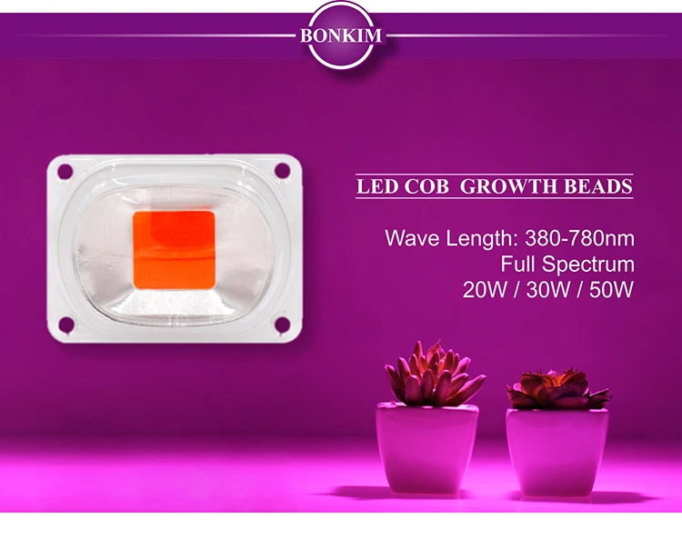 LED COB Grow Chip+Lens Reflector_01