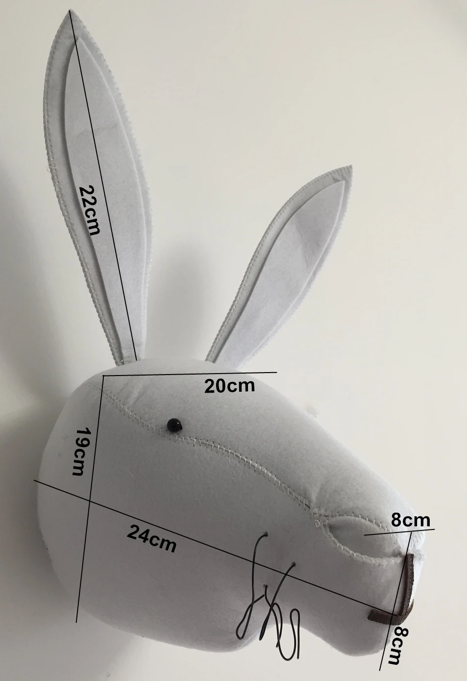 size rabbit