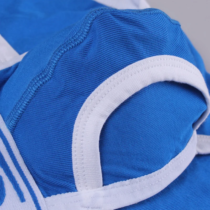 3 шт./лот мужское нижнее белье Calzoncillos сексуальное бикини Cueca Rayon для молодых геев
