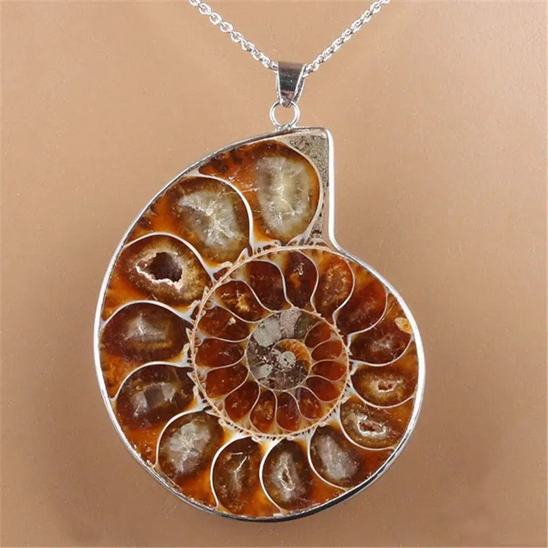 

1pc Natural Sea Nautilus Ammonite Fossil Shell Necklace Natural Gemstone Madagascar Pendant