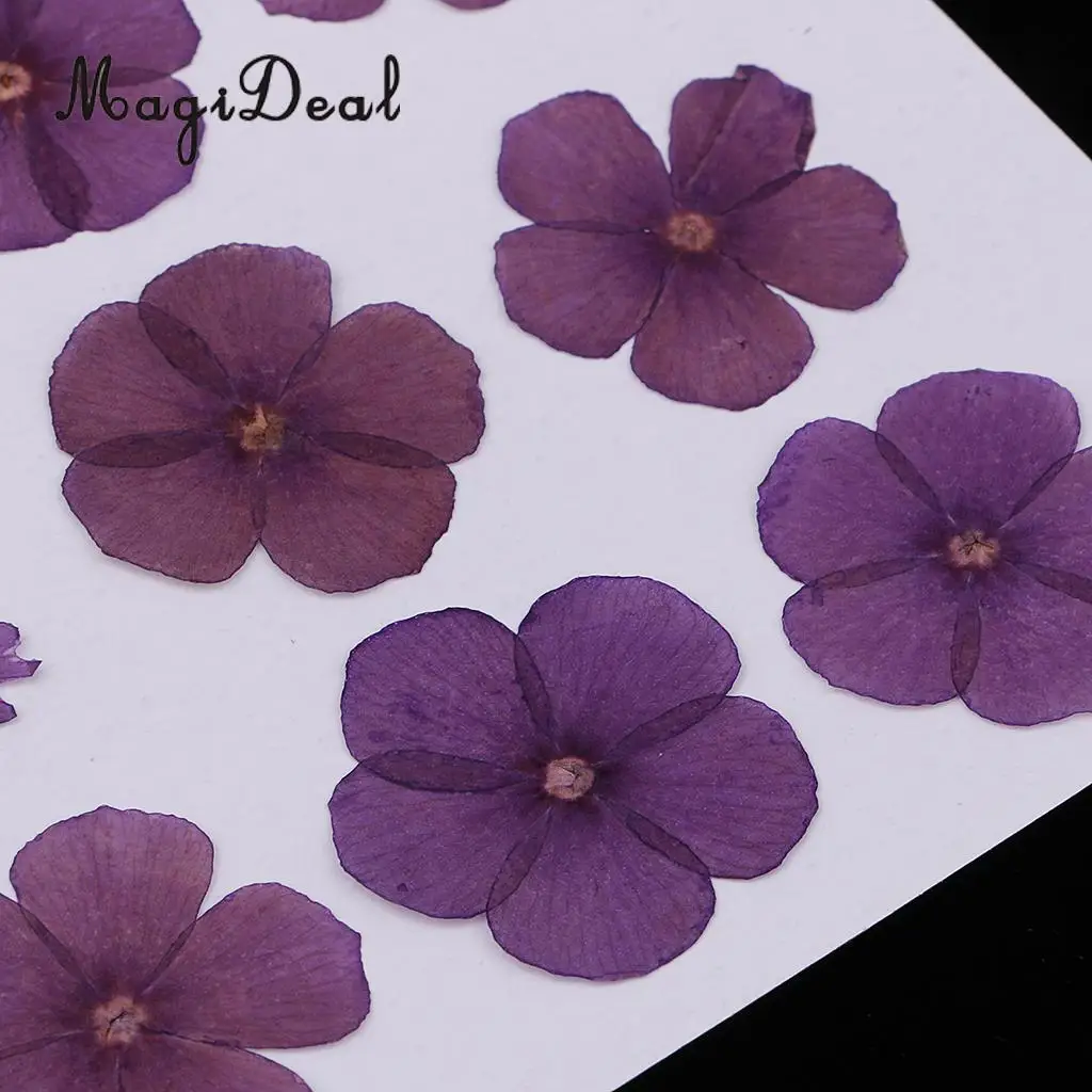 12 Pieces Natural Dried Flowers Real Flower Amaranthus for Kids Craft Card Making DIY Pendants Charms Jewelry