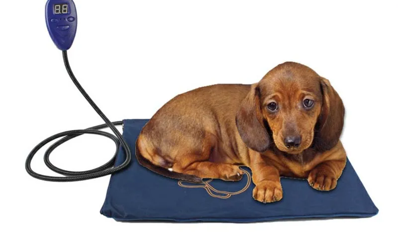 Pet Electric Blanket Dog Cat Bed Mat Winter Warm Dog House Pad For Puppy Kitty Big Dog Home Heating Pad Cover Cushion Dropship8