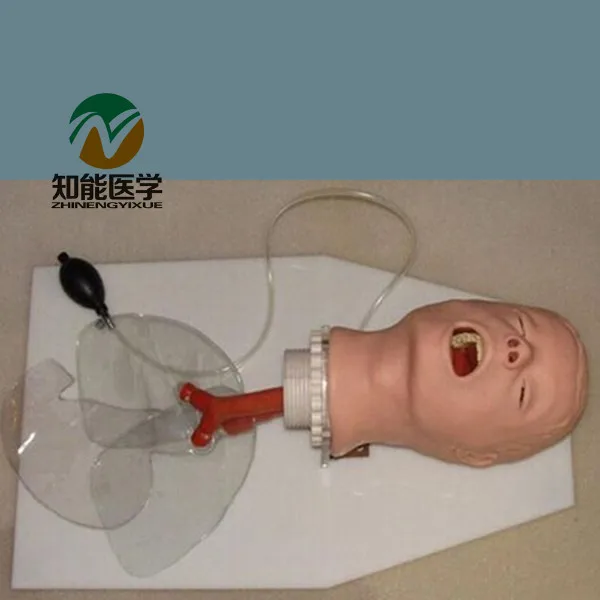 BIX-J50 Medical Science Airway Training Model,Trachea Intubation Training Model G053 BIX-J50 Medical Science Airway Training Model,Trachea Intubation Training Model G053