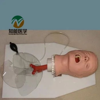 

BIX-J50 Medical Science Airway Training Model,Trachea Intubation Training Model G053