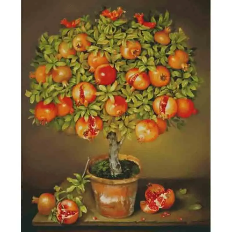 HTB1WMumXpzsK1Rjy1Xbq6xOaFXaP