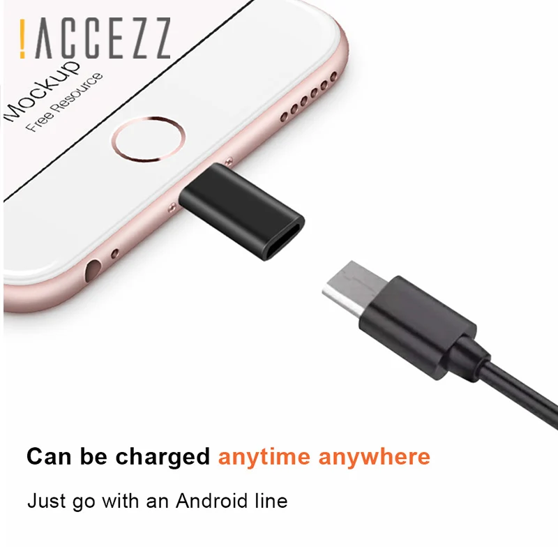 ACCEZZ Micro USB Женский адаптер для Apple OTG конвертер зарядки данных для iphone 5 6 7 8 Plus XS MAX XR для ipad Mini адаптеры