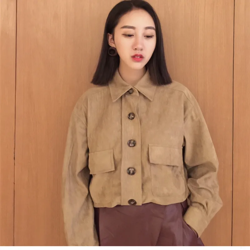 Beauty Garden Femme Autumn winter sweater pullover o neck