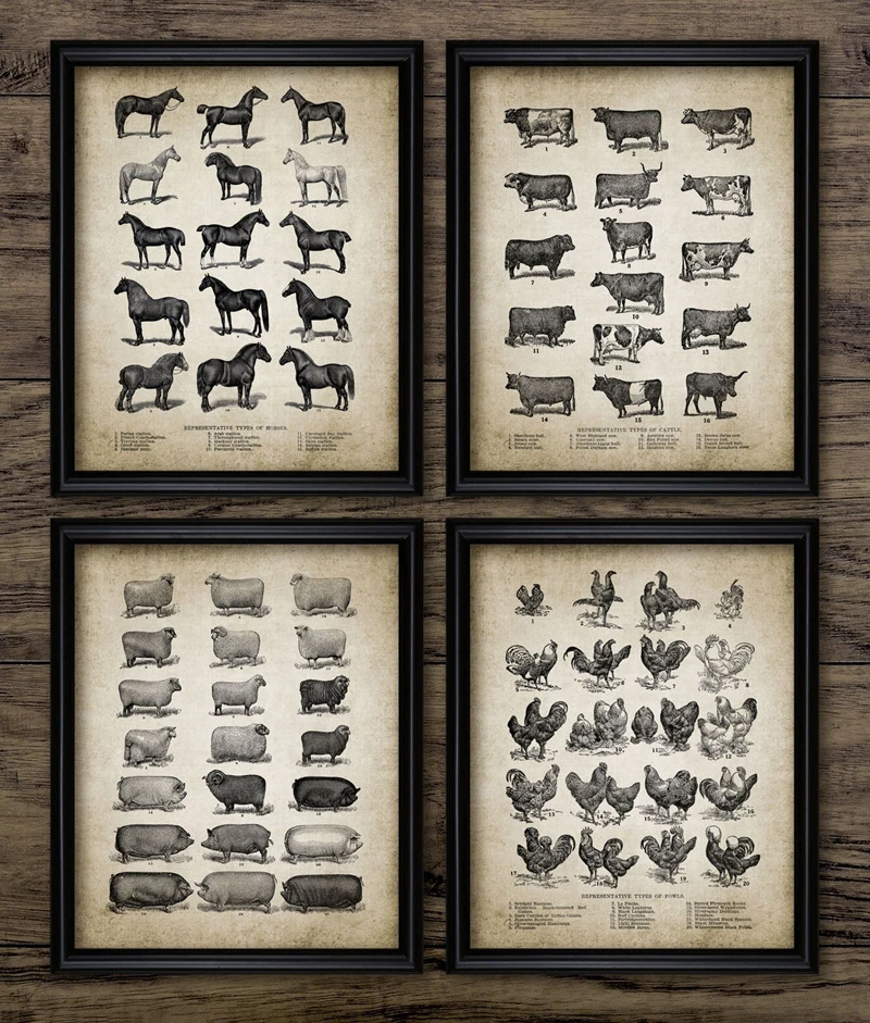 Vintage Farm Animals Canvas Prints Home Decor