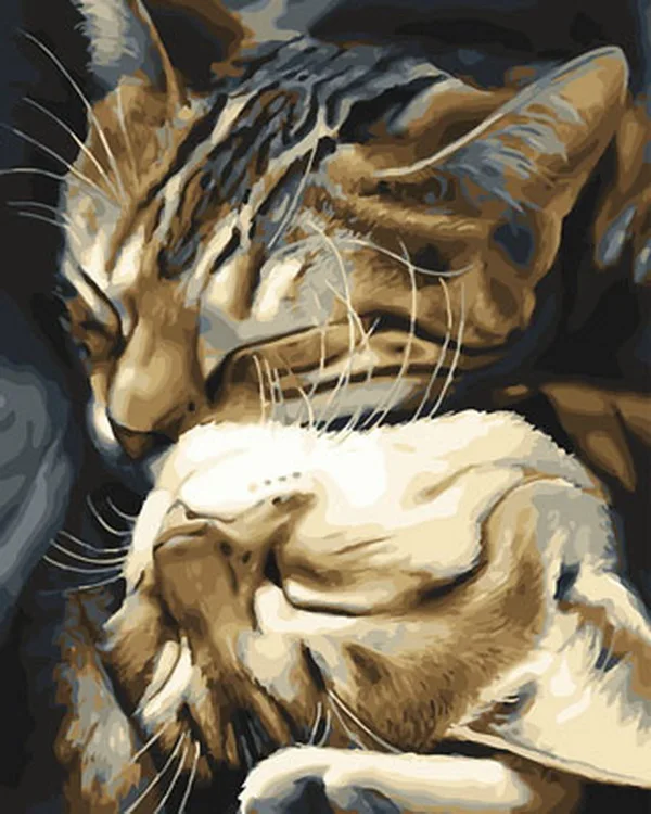 

Frameless painting by numbers animals wall decor diy picture oil painting on canvas for home decor 4050cm close kitty
