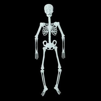 

MrY Halloween Toy Funny Luminous Skull Skeleton Body Haunted House Tricky Props