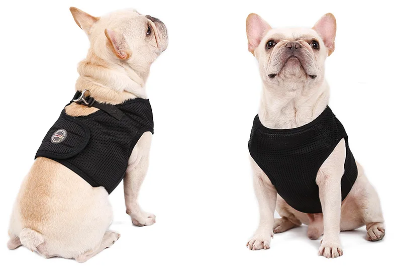 Dog Harness (15)