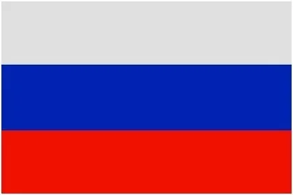 100 шт./лот, ручные национальные флаги, 14x21 см, флаг России, США, Великобритании, Франции, Нидерландов, Испании, Израиля, ЕС, флаг, баннер с пластиковым флагштоком - Цвет: Russian Federation