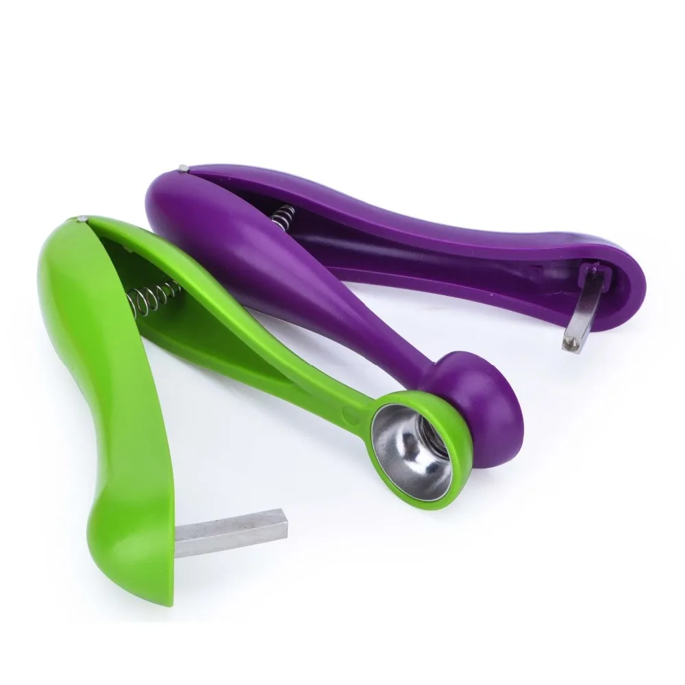 3029941793_1743600742