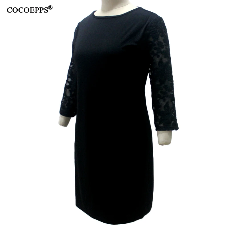 COCOEPPSLOGO12
