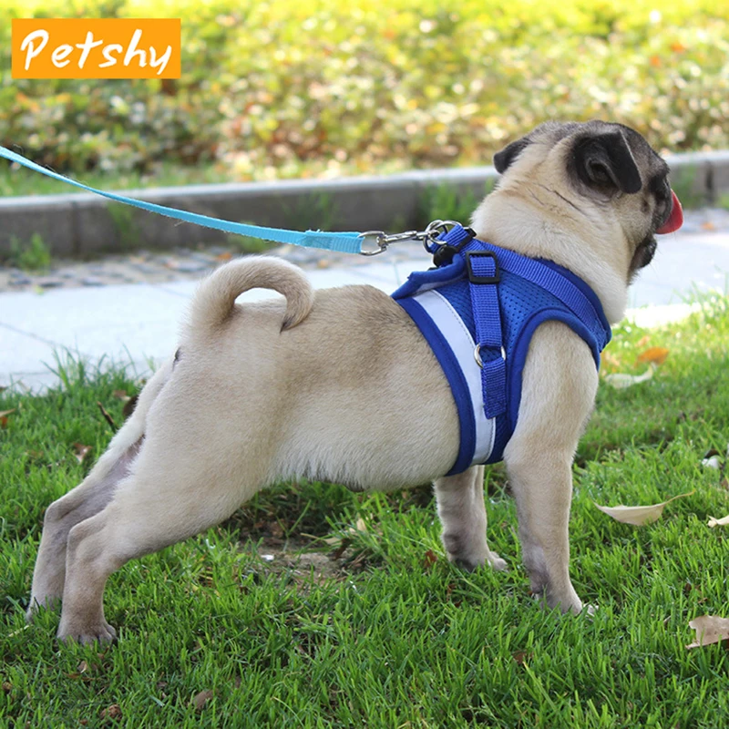 

Petshy Reflective Pet Dog Harness Leash For Small Medium Dogs Nylon Mesh Adjustable Puppy Cat Harnesses Vest Lead Leashes