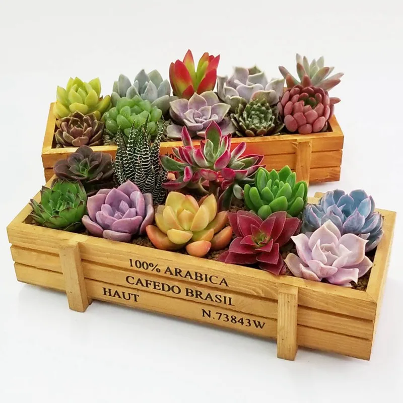 

Garden Plant Pot Decorative Vintage succulent planter Wooden Boxes Crates Rectangle Table Flower Pot Gardening Device