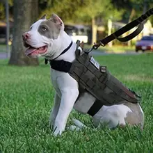 Dog font b Pet b font Harness Military Vest Walking Hiking Hunting Tactical Water Resistant Training
