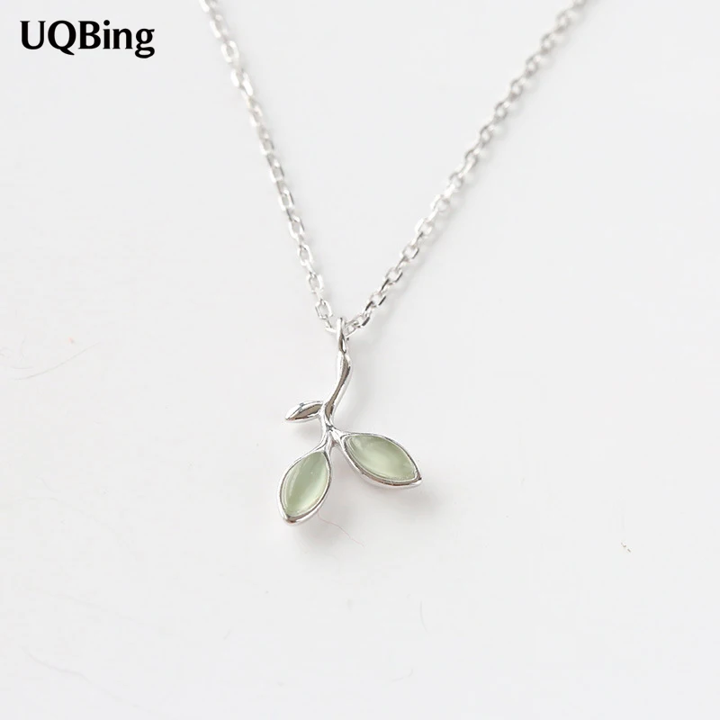 5299674797_823318017