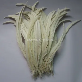

30-35cm /12-14 inch beige Rooster tail feathers Chicken feathers cock tail feather Rooster Tail Coque Feathers 100pcs/lot