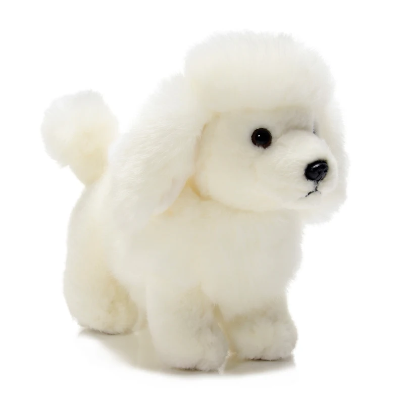 teddy dog toy