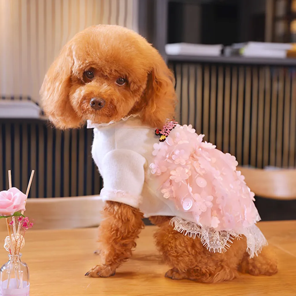 

Dresses for Dogs Pet Spring And Summer Pineapple Print Dog Costumes Pet Dog Clothes Dress Dog Skirt одежда для собак платья