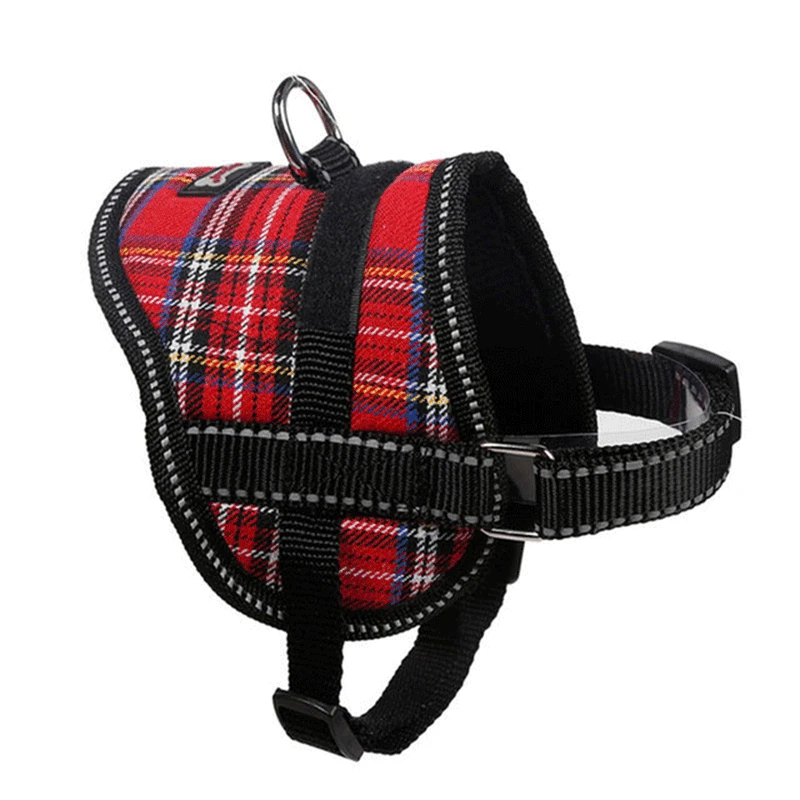 Buy Cute Dogs collars and vest harnesses chest with