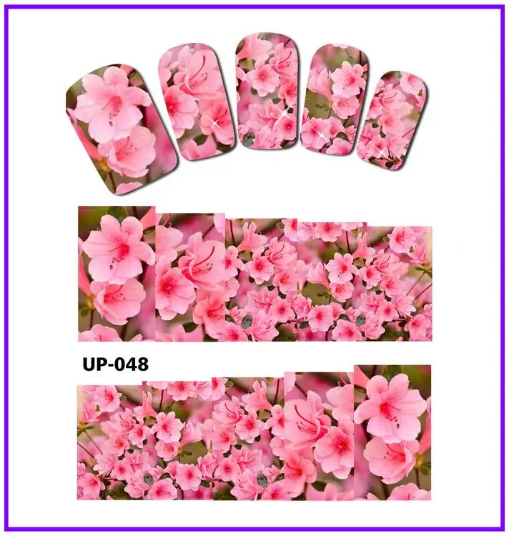 UP-048