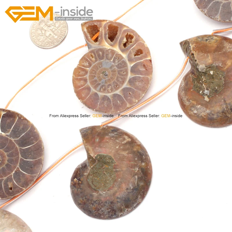 

Conch Beads 25mm-30mm Conch Beads Fashion Natural Stone Diy Beads 8pcs Free Shipping