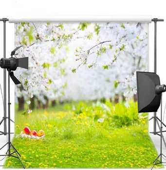 

Willow Tree Green Grass Spring Easter Egg Background Vinyl cloth High quality Computer print children kids backdrop