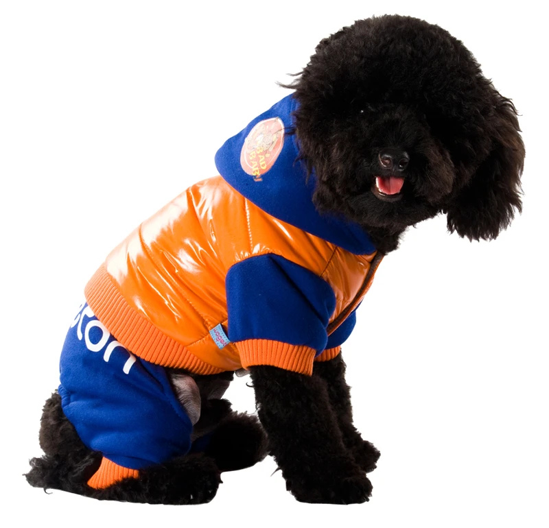 12 dog coat 
