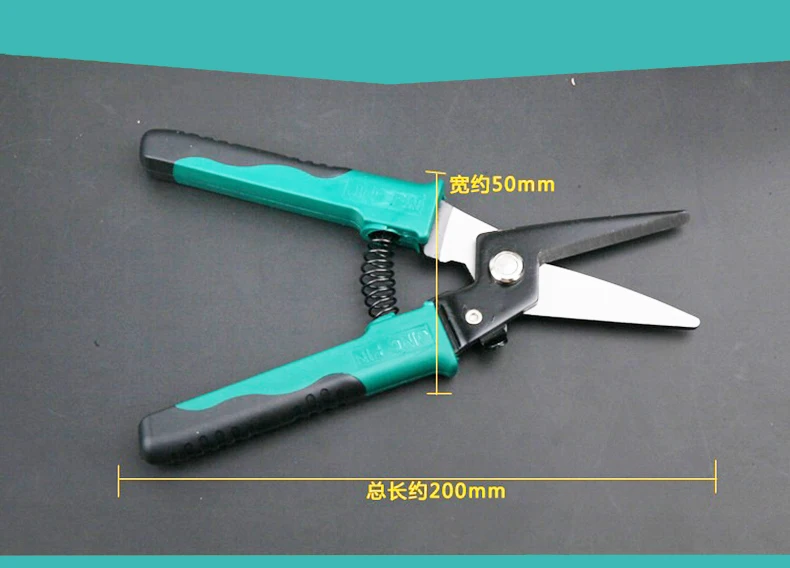 TSTPJ-807