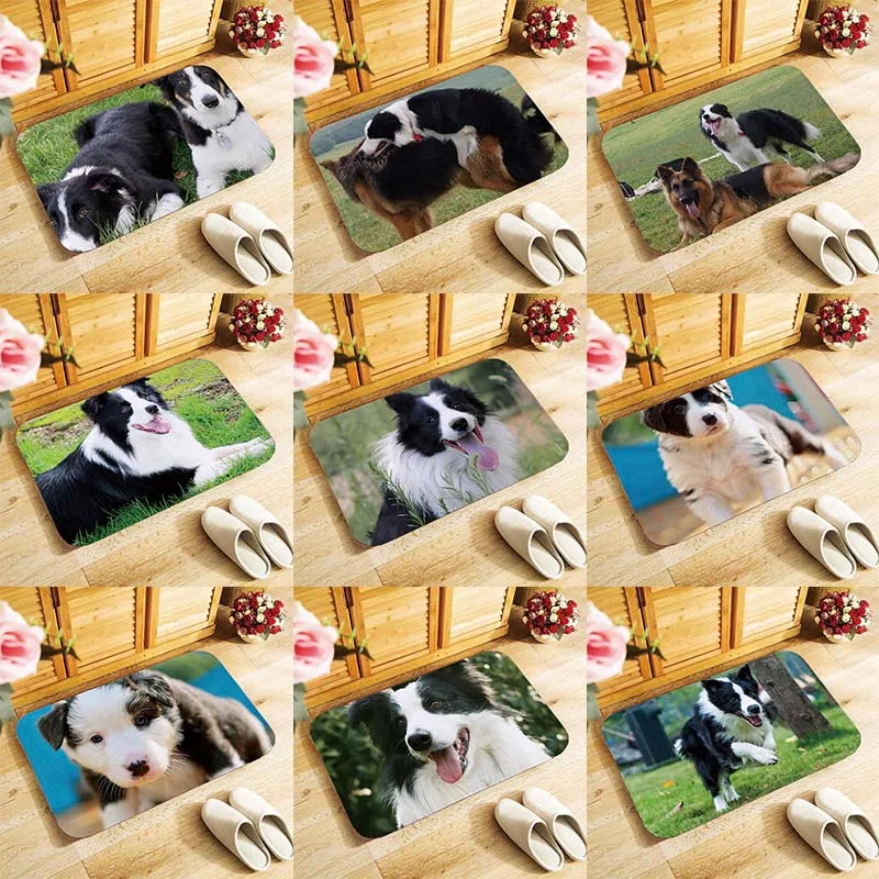 Cute Border Collie Dog Doormat Coir Door Mat Indoor Outdoor Welcome Floor Mats NEW soft material Modern style 40x60cm antislip Cute Border Collie Dog Doormat Coir Door Mat Indoor Outdoor Welcome Floor Mats NEW soft material Modern style 40x60cm antislip