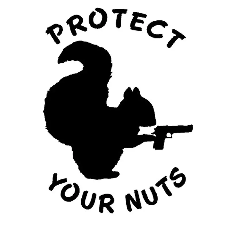 11.5cm*15.9cm Protect Your Nuts Squirrel Gun Pistol Funny Car Stickers