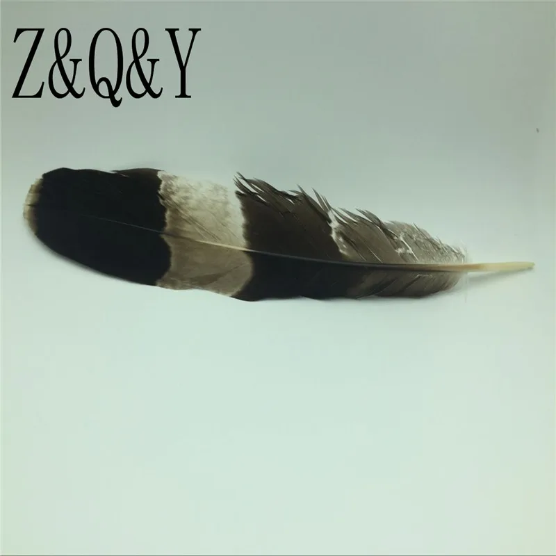 

Z & Q & Y Natural 12 Natural 25-30CM (10-12 inches) Eagle Tail Hair DIY Collection Craft Fans, Feather Accessories