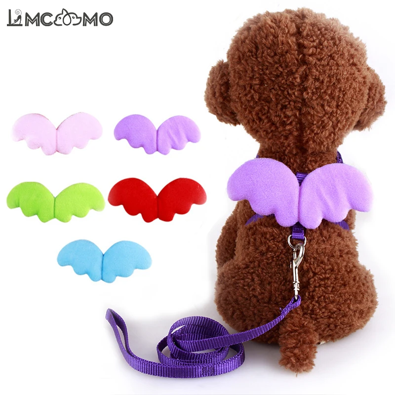 Cute Angel Wing Dog Leash and Harness Set Dog Collars Puppy Leads for