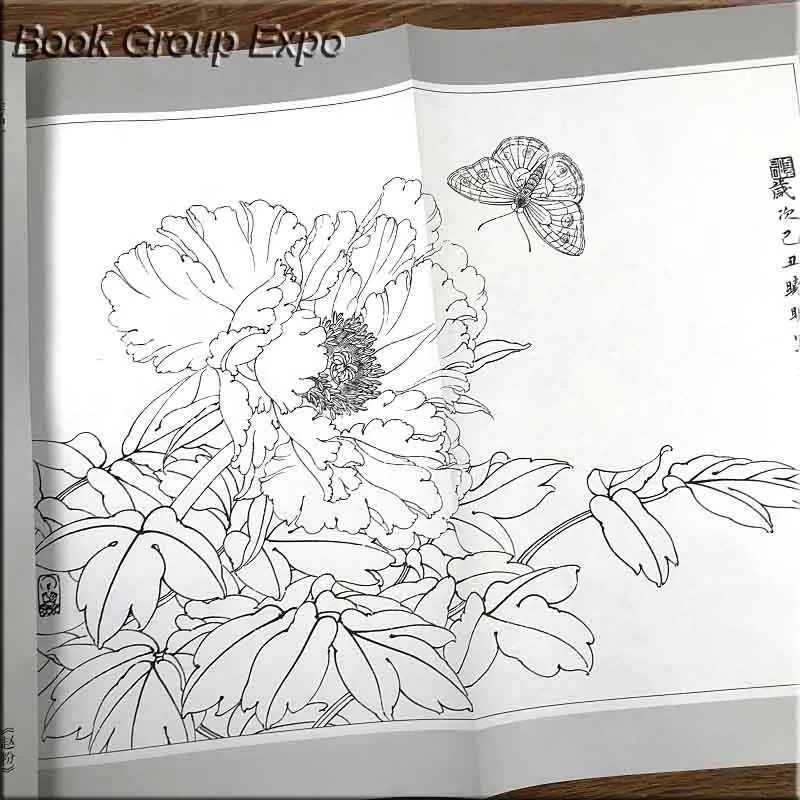 O1CN01to9URl1yxSNmN9ekd_!!2200738556645副本