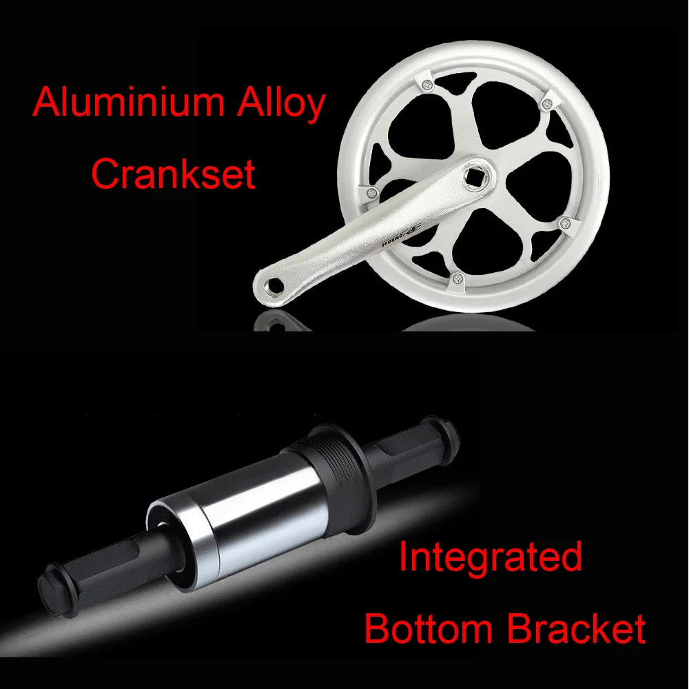 Flash Deal QF600G 20 Inches Folding Bicycle, 7 Speeds Folding Bike, Aluminium Alloy Frame, BMX, Both Disc Brakes 3