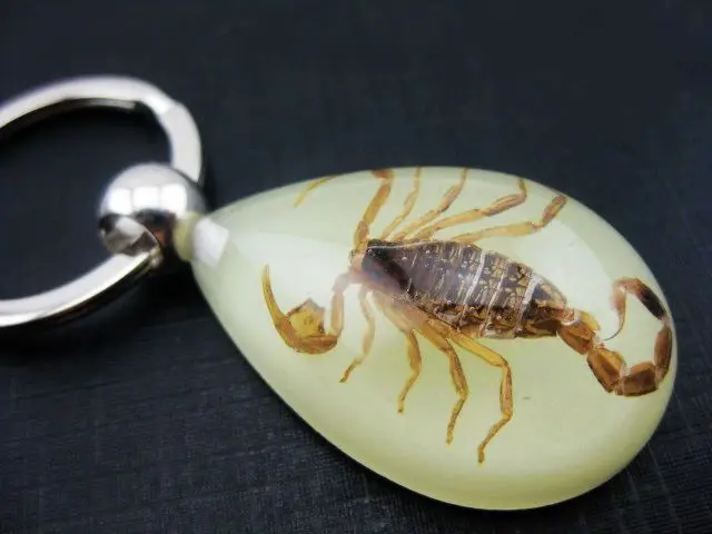 Hot Seller 50pcs Keychains Scorpion Keyring Promotional Mixed Lot Free Shipping 