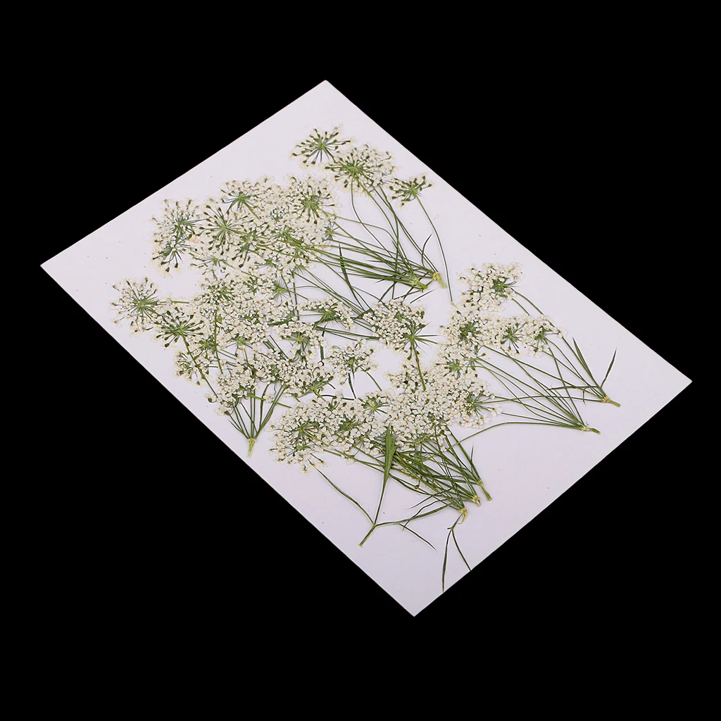 10 Pieces White Lace Flower Natural Real Pressed Dried Flower Poxy Resin Pendant Necklace Jewelry Making Craft DIY Accessories