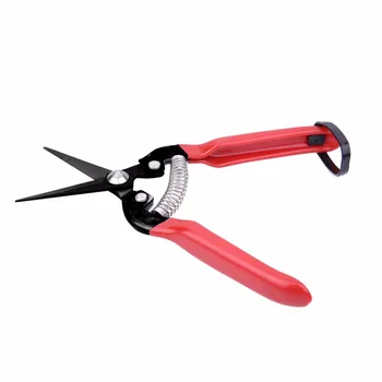 

Grafting Garden Scissors High Carbon Steel Fruit Tree Pruning Shears Bonsai Pruners Gardening Secateurs Garden Shears