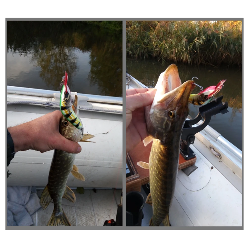 LUSHAZER الصيد إغراء الروبيان أسماك 80 T الطعم 17g 80 مللي متر Crankbait Iscas Artificiais الفقرة Pesca Vib إغراء المتذبذب الصلب الطعوم الساعد LUSHAZER الصيد إغراء الروبيان أسماك 80 T الطعم 17g 80 مللي متر Crankbait Iscas Artificiais الفقرة Pesca Vib إغراء المتذبذب الصلب الطعوم الساعد