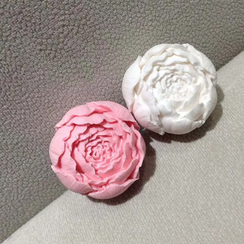 01 (2)