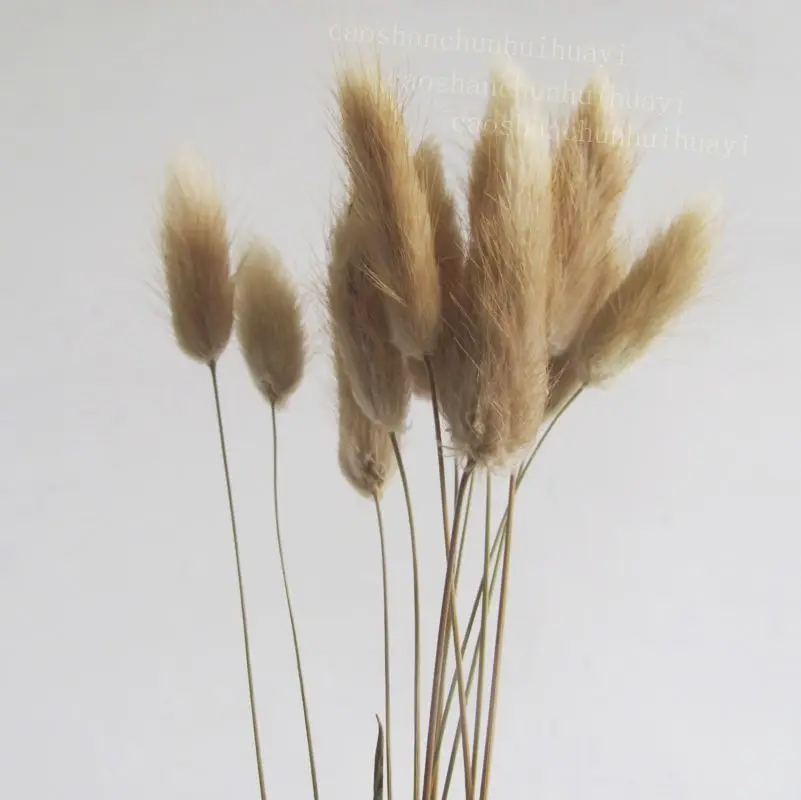 100 шт./компл. идиллия Искусственные цветы из натуральных тканей с цветочным узором цветок foxtail травы Кролик хвост реквизит для съемки моделированый высушенный цветы