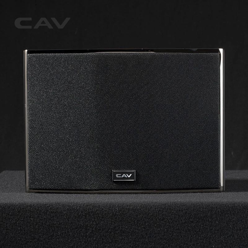 CAV DL 3 настенный динамик с функцией сканирования звука Hi Fi полной частотой