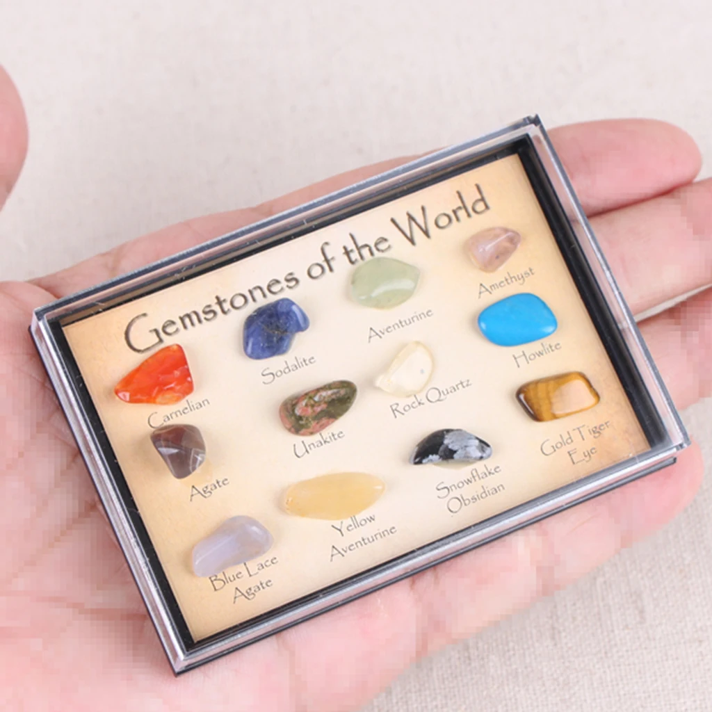 15pcs Rock & Mineral Collection Educational Geology Science Toy for  Adults