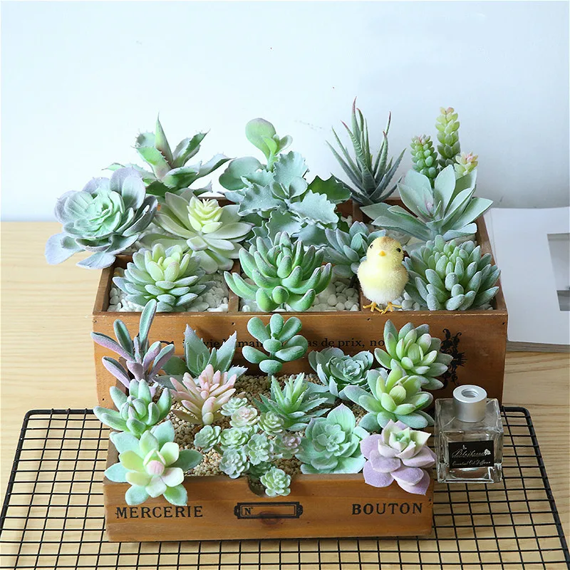 

1pcs Aloe Parvula Craft Toys Simulated Plant Toys Kinds Game Kits Assembly Toy Gift Children Adult Dropshipping